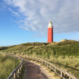 Duurzaam hout op Vlieland, Ameland en Texel (EcoMare) Duurzaam hout op Vlieland, Ameland en Texel (EcoMare)