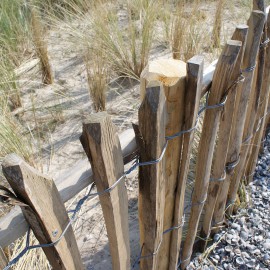 Duurzaam hout op Vlieland, Ameland en Texel (EcoMare) Duurzaam hout op Vlieland, Ameland en Texel (EcoMare)
