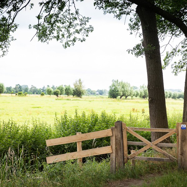 2018-2 | van vliet kastanjehout