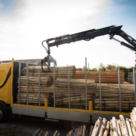 Maarten_Van Vliet Kastanjehout 1 Maarten_Van Vliet Kastanjehout 1