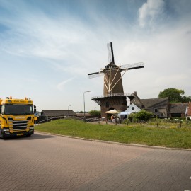 Maarten_Van Vliet Kastanjehout 2 Maarten_Van Vliet Kastanjehout 2