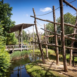 Apenheul en Van Vliet delen passie voor natuur Apenheul en Van Vliet delen passie voor natuur