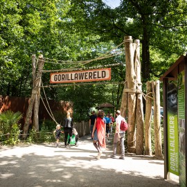 Apenheul en Van Vliet delen passie voor natuur Apenheul en Van Vliet delen passie voor natuur