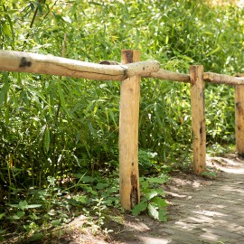 Apenheul en Van Vliet delen passie voor natuur Apenheul en Van Vliet delen passie voor natuur