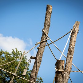 Apenheul en Van Vliet delen passie voor natuur Apenheul en Van Vliet delen passie voor natuur