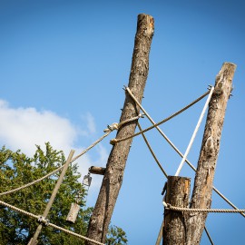 Apenheul en Van Vliet delen passie voor natuur