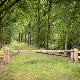 Samenwerking Van Vliet Kastanjehout gebaseerd op wederzijds vertrouwen Samenwerking Van Vliet Kastanjehout gebaseerd op wederzijds vertrouwen