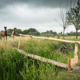 Samenwerking Van Vliet Kastanjehout gebaseerd op wederzijds vertrouwen Samenwerking Van Vliet Kastanjehout gebaseerd op wederzijds vertrouwen