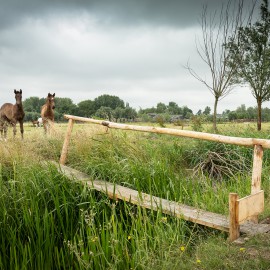 Samenwerking Van Vliet Kastanjehout gebaseerd op wederzijds vertrouwen