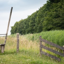 Samenwerking Van Vliet Kastanjehout gebaseerd op wederzijds vertrouwen Samenwerking Van Vliet Kastanjehout gebaseerd op wederzijds vertrouwen