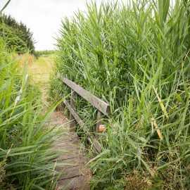 Samenwerking Van Vliet Kastanjehout gebaseerd op wederzijds vertrouwen Samenwerking Van Vliet Kastanjehout gebaseerd op wederzijds vertrouwen