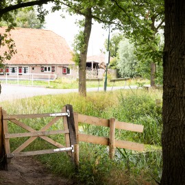 Samenwerking Van Vliet Kastanjehout gebaseerd op wederzijds vertrouwen Samenwerking Van Vliet Kastanjehout gebaseerd op wederzijds vertrouwen