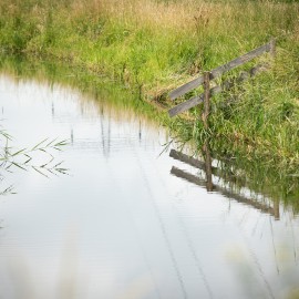 Samenwerking Van Vliet Kastanjehout gebaseerd op wederzijds vertrouwen Samenwerking Van Vliet Kastanjehout gebaseerd op wederzijds vertrouwen