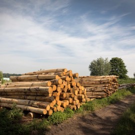 Interview Jelle Henken Interview Jelle Henken