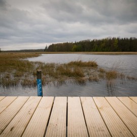 Van Vliet Kastanjehout houten fiets en wandelbrug Van Vliet Kastanjehout houten fiets en wandelbrug