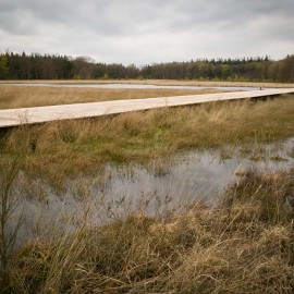 Van Vliet Kastanjehout houten fiets en wandelbrug Van Vliet Kastanjehout houten fiets en wandelbrug
