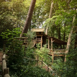 Boomhutten Boomhutten