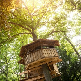 Boomhutten Boomhutten