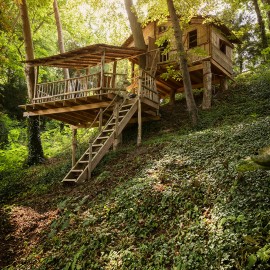 Boomhutten Boomhutten