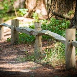Utrechts Landschap Utrechts Landschap