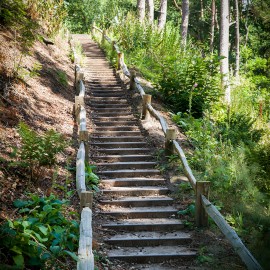 Utrechts Landschap Utrechts Landschap