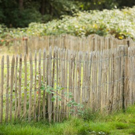 Kwintelooyen: een uniek stukje natuur Kwintelooyen: een uniek stukje natuur