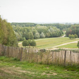 Kwintelooyen: een uniek stukje natuur Kwintelooyen: een uniek stukje natuur