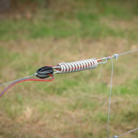 Kwintelooyen: een uniek stukje natuur Kwintelooyen: een uniek stukje natuur