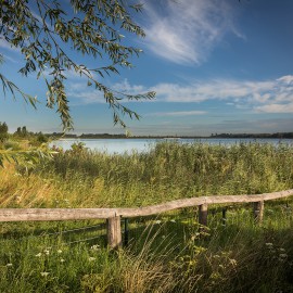 Kastanjehouten schapenhek in de gemeente Utrecht Kastanjehouten schapenhek in de gemeente Utrecht