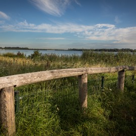Kastanjehouten schapenhek in de gemeente Utrecht Kastanjehouten schapenhek in de gemeente Utrecht
