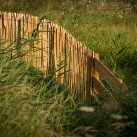 Kastanjehouten schapenhek in de gemeente Utrecht Kastanjehouten schapenhek in de gemeente Utrecht