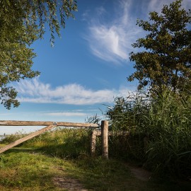 Kastanjehouten schapenhek in de gemeente Utrecht Kastanjehouten schapenhek in de gemeente Utrecht