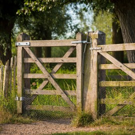 Kastanjehouten schapenhek in de gemeente Utrecht Kastanjehouten schapenhek in de gemeente Utrecht