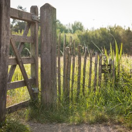 Kastanjehouten schapenhek in de gemeente Utrecht Kastanjehouten schapenhek in de gemeente Utrecht