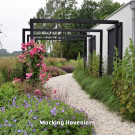 Mocking Hoveniers Mocking Hoveniers