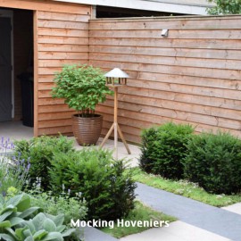 Mocking Hoveniers Mocking Hoveniers