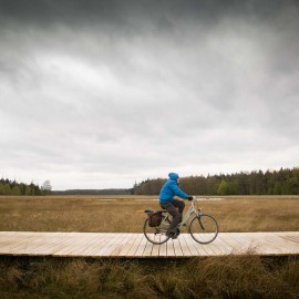 Van Vliet Kastanjehout houten fiets en wandelbrug Van Vliet Kastanjehout houten fiets en wandelbrug