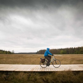 Van Vliet Kastanjehout houten fiets en wandelbrug