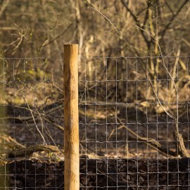 Dassengaas tegen scherpe klauwen Dassengaas tegen scherpe klauwen