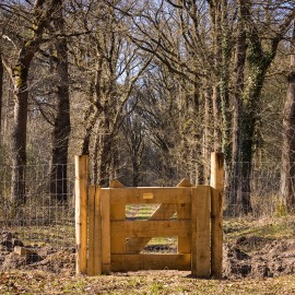 Dassengaas tegen scherpe klauwen Dassengaas tegen scherpe klauwen