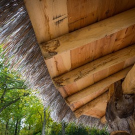 Van Vliet Duurzaamhout - Het Grote bos Van Vliet Duurzaamhout - Het Grote bos