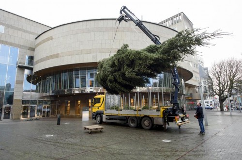 Kerstboom Tweede Kamer Kerstboom Tweede Kamer