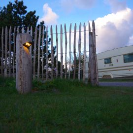 Kastanjestammen met ledverlichting bieden prima oriëntatie Kastanjestammen met ledverlichting bieden prima oriëntatie