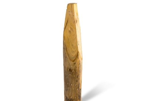 Kastanje palen geschild gepunt Kastanje palen geschild gepunt