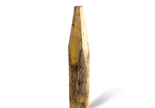 Kastanje palen Kastanje palen